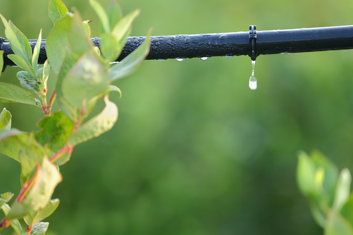 Sfondo contatti MiDo Irrigazione e Acqua